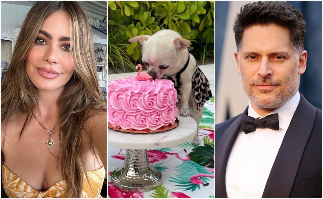 Sofía Vergara y Joe Manganiello. Fotos: Instagram