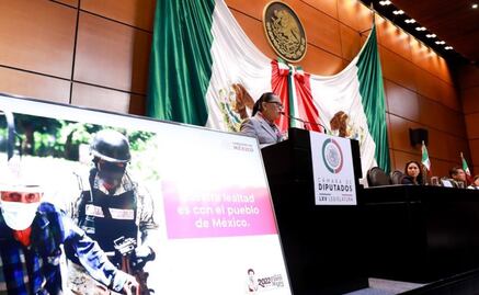 “No tenemos pacto con la delincuencia”, dice Rosa Icela Rodríguez a diputados del Verde