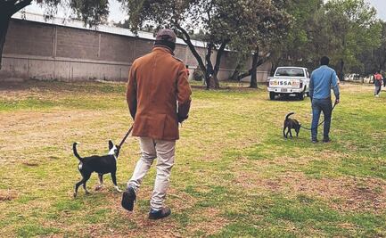 Amplían opciones de trabajo comunitario para los infractores