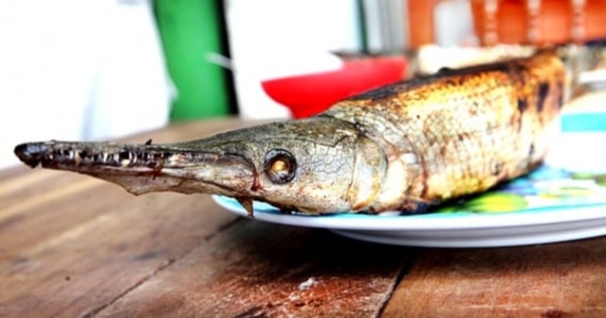 Brujo Mayor hace ritual por AMLO con figura de reptil, en vez de pejelagarto