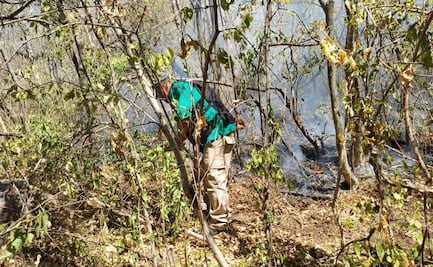 Atienden incendio forestal en sindicatura de Imala, Culiacán; elementos de Protección Civil logran controlarlo