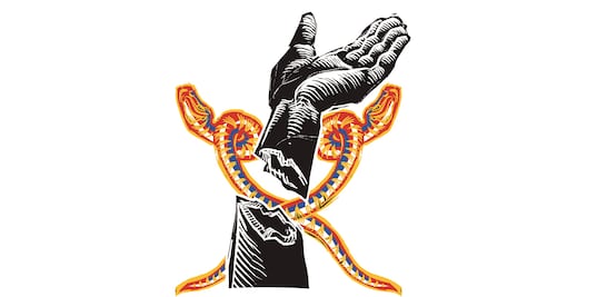 Las mentiras del IMSS