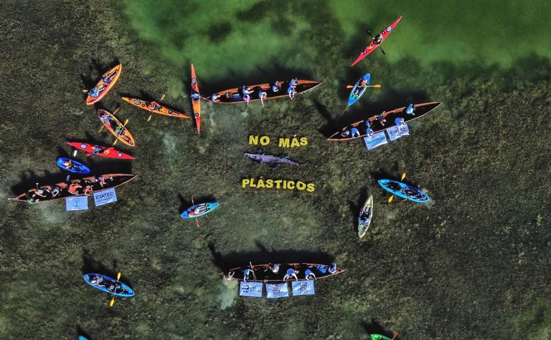 La acción fue realizada está mañana por integrantes de Greenpeace México, Semillas Fuertes, Blue Religion y Exatec. Foto: Cortesía Greenpeace