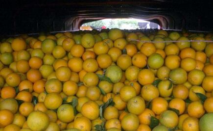 Dos hombres reciben 15 años de prisión por robar camión con 20 toneladas de naranjas; pagarán multa de más 134 mil pesos