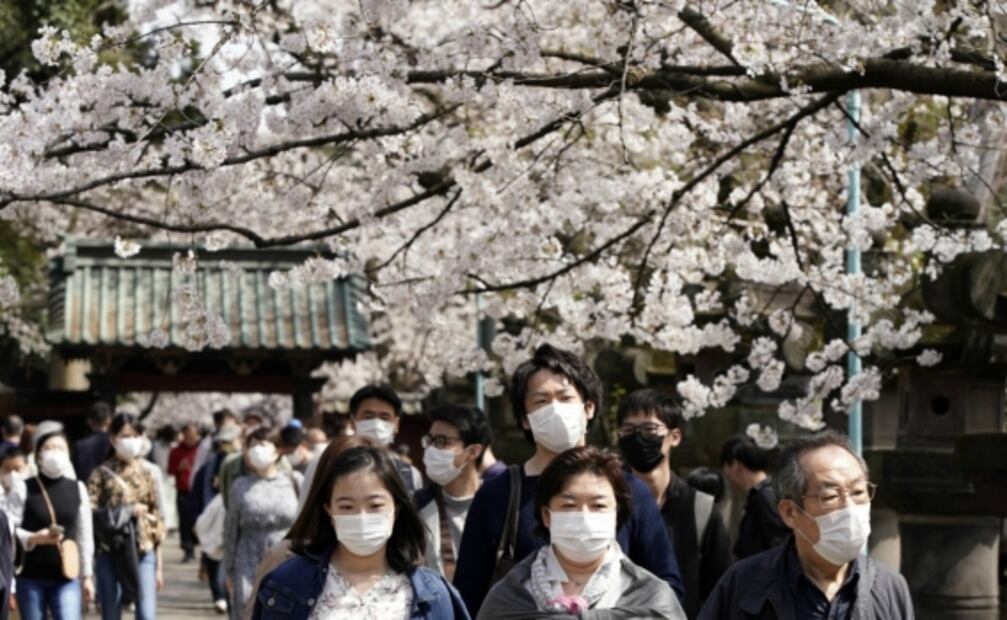 Japoneses salen a disfrutar los cerezos, a pesar del coronavirus