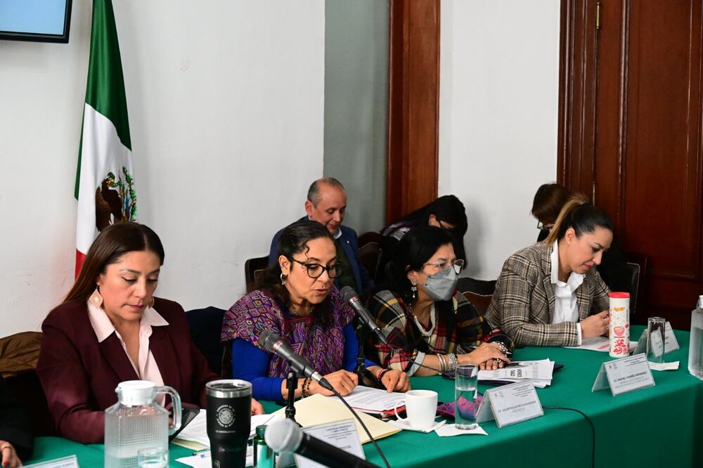 La presidenta de la Comisión de Derechos Humanos de la Ciudad de México, Nashieli Ramírez Hernández (con cubrebocas), solicitó al Congreso capitalino un incremento del 5 % del presupuesto para el 2025. (Foto: especial)