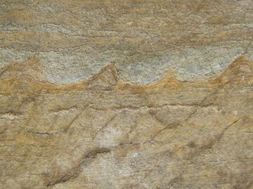 El fósil más antiguo es encontrado en Groenlandia