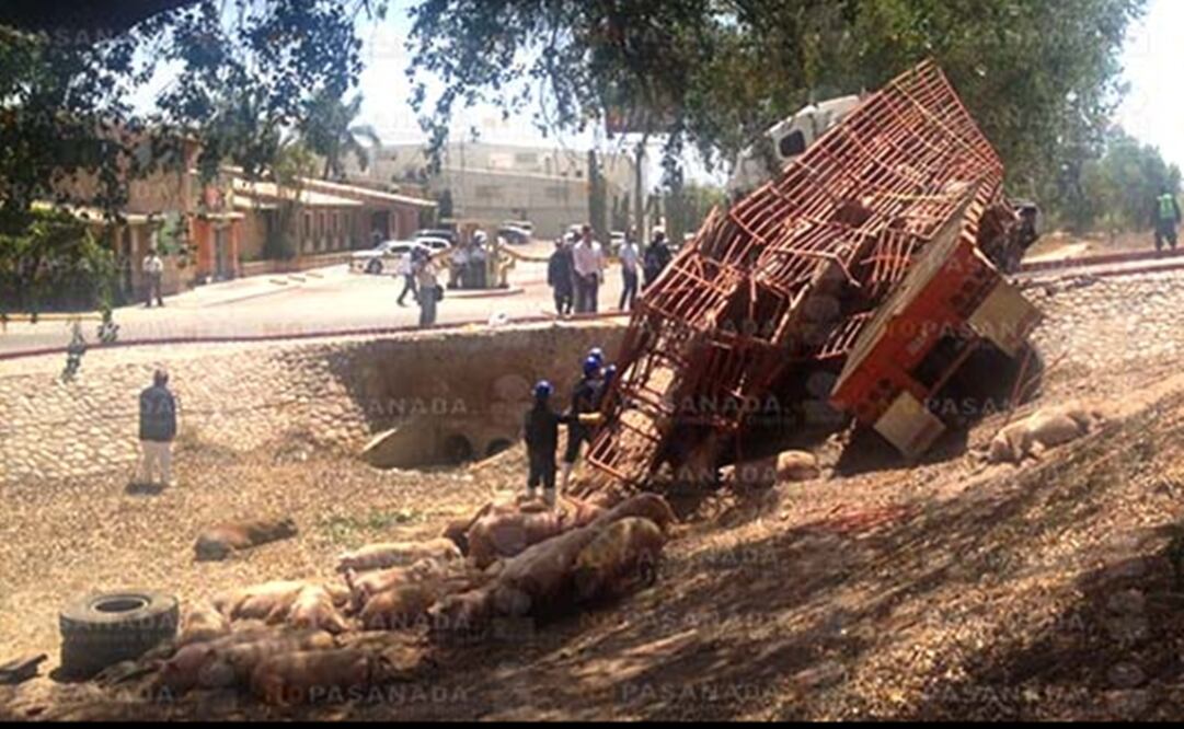 Foto: Cortesía: NOPASANADA