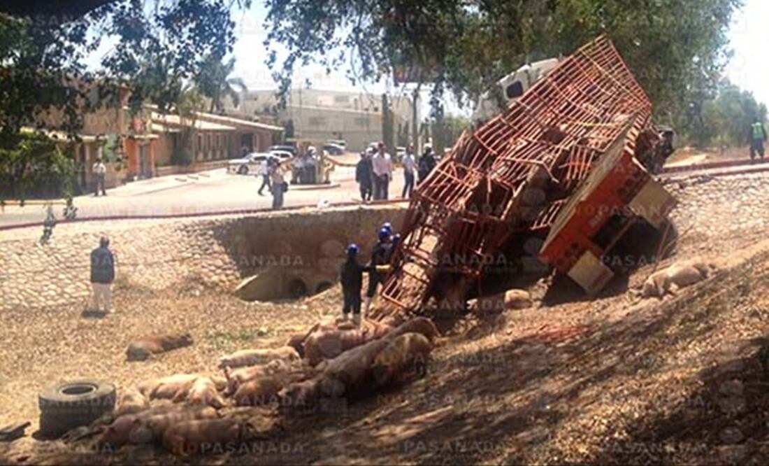 Foto: Cortesía: NOPASANADA