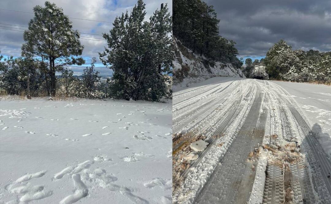 Caída de nieve en Sonora. Foto: Especial