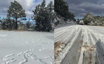 Frente frío 26: ¿En qué estados caerá nieve en esta semana?