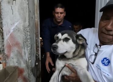 Sujetos torturan a "Luna"; perrita a la que arrastraron atada a una motocicleta, en Peribán, Michoacán