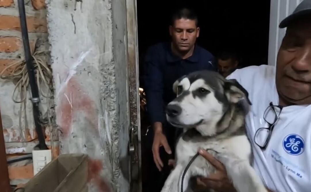 La tortura de la perrita, fue grabada en video por otro conductor. Foto: especial
