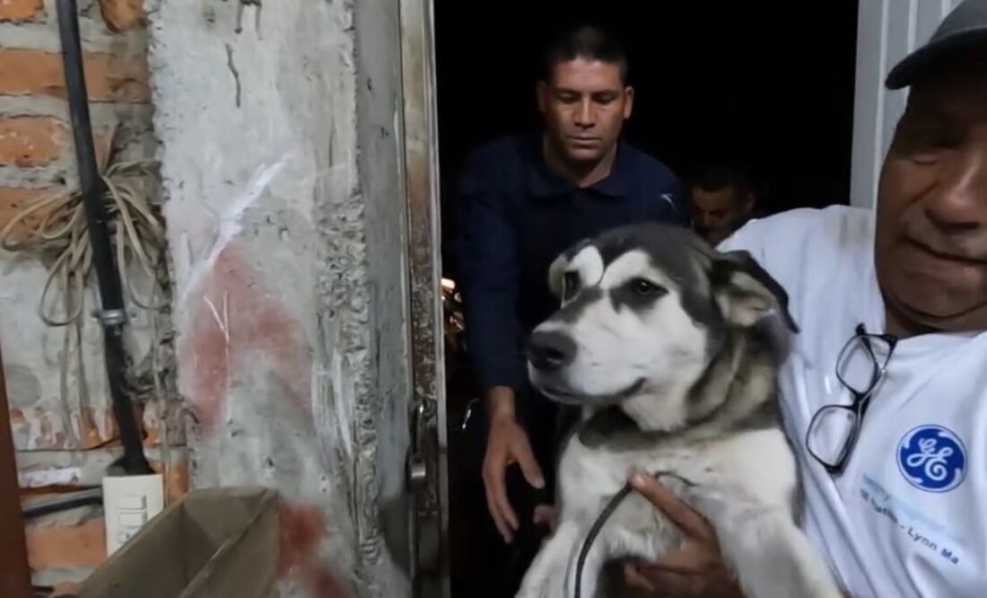 La tortura de la perrita, fue grabada en video por otro conductor. Foto: especial