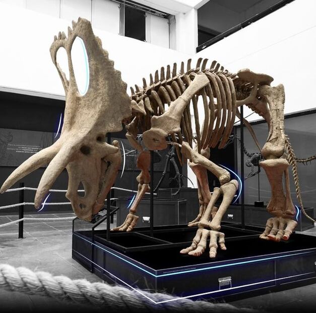 Dinosaurios entre nosotros. Foto: UNAM