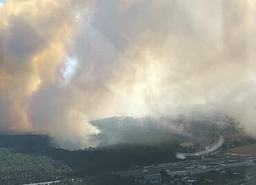 Incendio forestal consume cientos de hectáreas en Veracruz