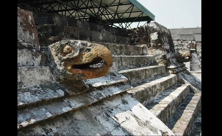 El águila real, símbolo patrio y encarnación de fiereza para los mexicas