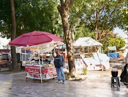 Hay 80 mil ambulantes registrados en CDMX