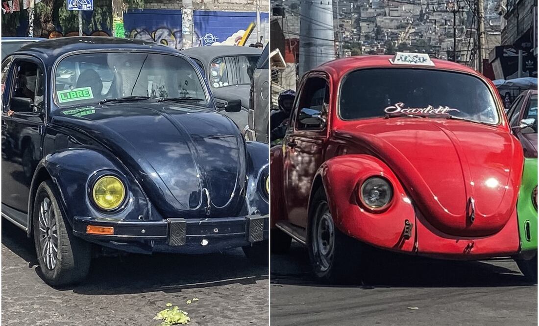 Vochotaxis operando en la GAM. Foto: Yaretzy Osnaya