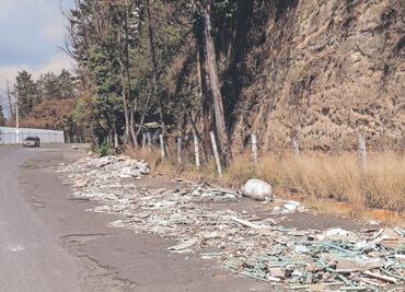 Camino a Los Cipreses será un corredor ecoturístico