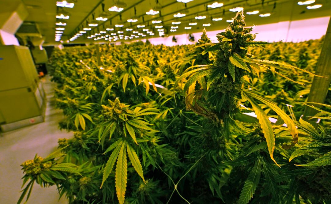 Foto: Archivo / EL UNIVERSAL