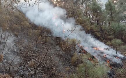 Pirotecnia provocó incendio forestal en Tepoztlán, aseguran; lleva 30 hectáreas afectadas
