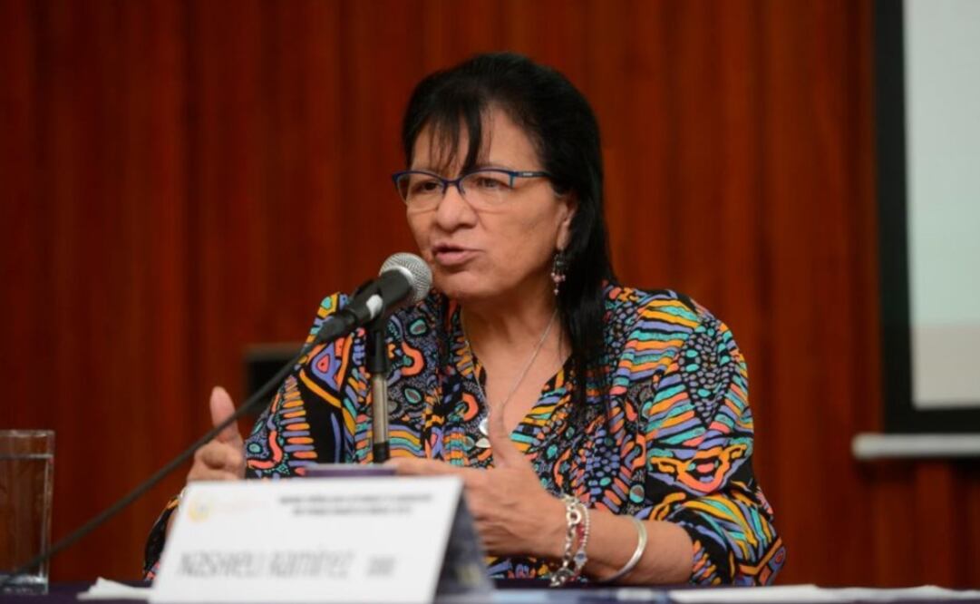 (Foto: tomada de Twitter @CDHDF)