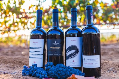 Conoce estos vinos con maridajes musicales