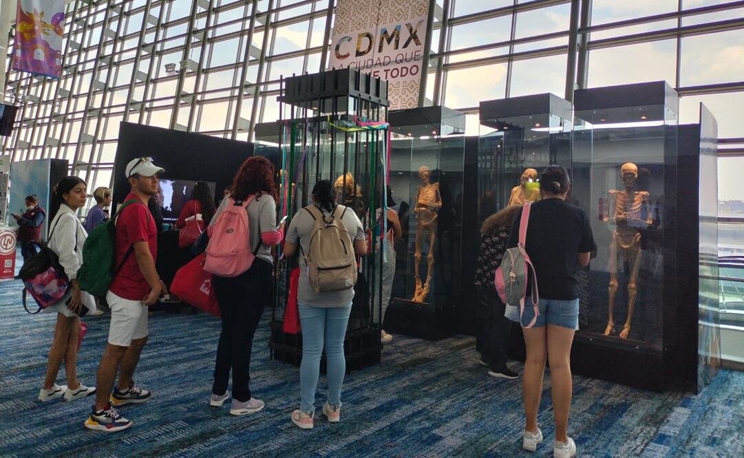 La titular del INAH de Guanajuato, Olga Adriana Hernández Flores, denunciará el uso indebido de las Momias exhibidas en eventos turísticos del gobierno estatal. Foto: Defensa Momias Guanajuato