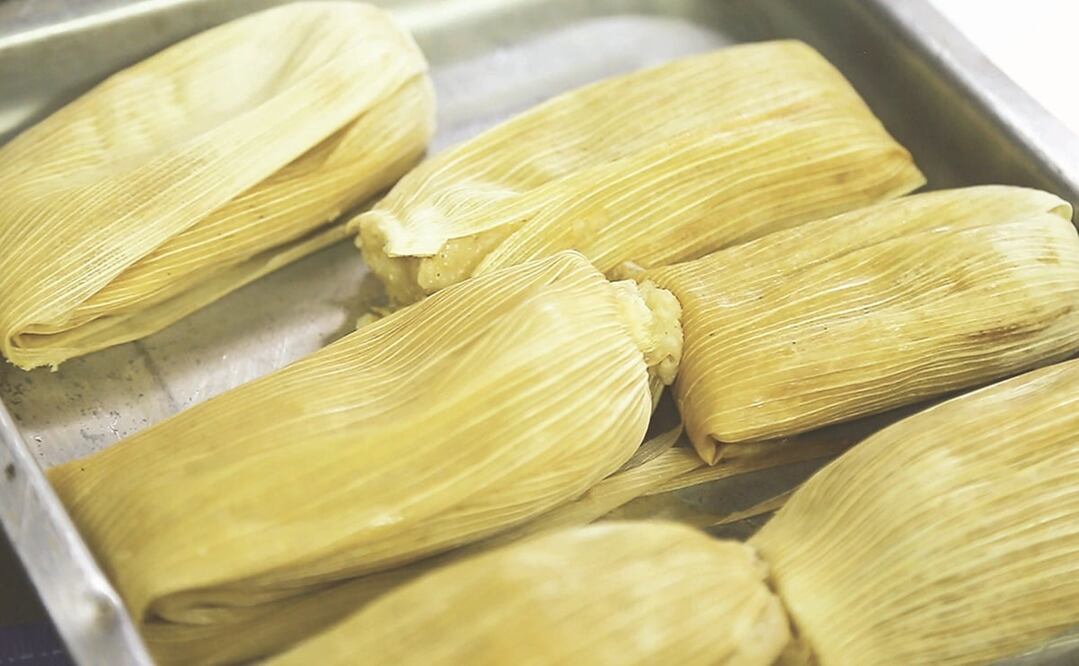 Foto: Archivo/EL UNIVERSAL