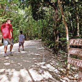 En riesgo, 15 áreas por Tren Maya