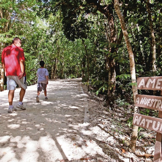 Académicos, investigadores y activistas consideran que es indispensable que el nuevo gobierno, del presidente Andrés Manuel López Obrador, cumpla con las leyes ambientales vigentes. ARCHIVO EL UNIVERSAL