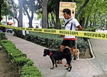 Reabren por completo zona canina en el Parque México