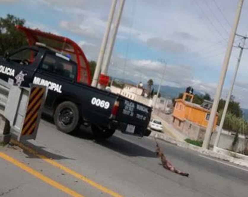 Una usuaria de redes sociales subió la imagen del maltrato al animal, por lo que pidió el apoyo ciudadano para castigar el hecho (TOMADA DE REDES SOCIALES)