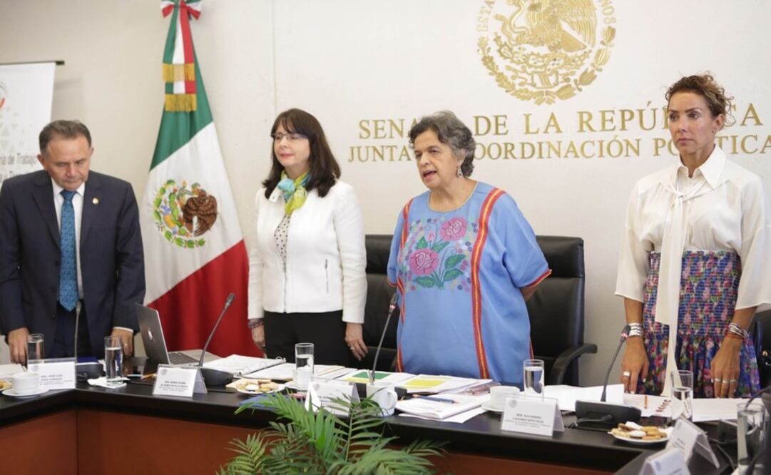 Ante la Comisión de Ciencia y Tecnología, compareció María Elena Álvarez Buylla, titular del Conacyt (Tomada de Twitter @senadomexicano)