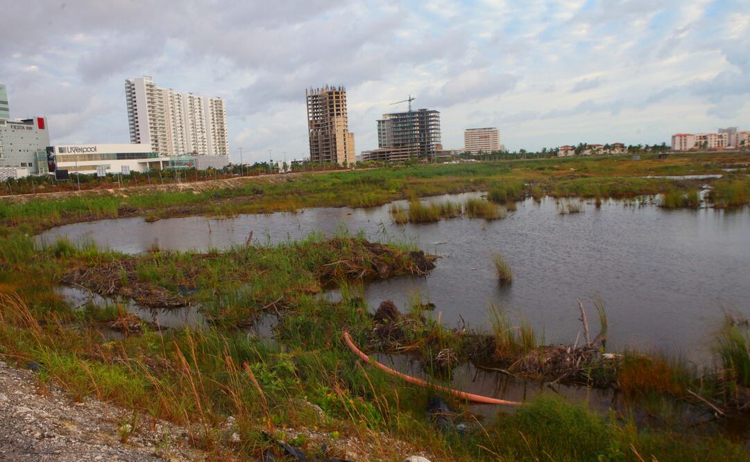 ARCHIVO / EL UNIVERSAL