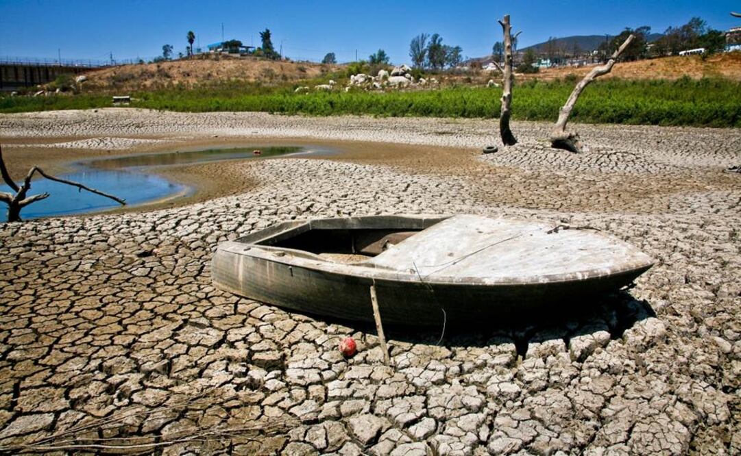 En la tierra agrietada ha quedado un pequeño barco encallado y un muelle flotante. Aún están amarrados al tronco —de lo que fue un árbol— con una cuerda de nilón. 