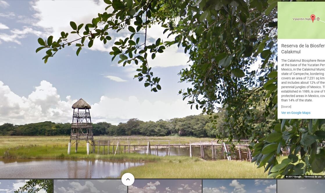 Reserva de la Biosfera Calakmul (Foto: Google Street View)