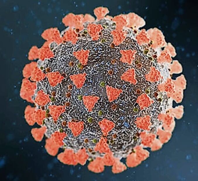 ¿Qué es una cepa de virus?