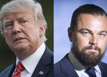 Muro de Trump afectaría a especies animales, acusa Leonardo DiCaprio