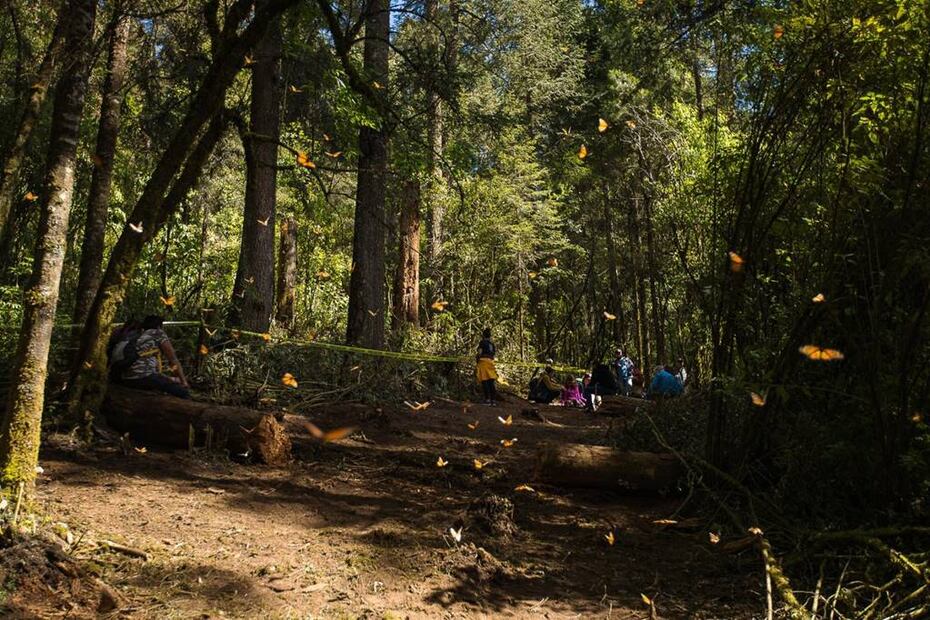 Foto: Subsecretaría de Turismo del Gobierno del Estado de México