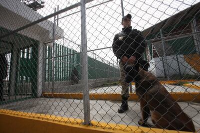 Reo se fuga de penal en Almoloya; cumplía condena por violación