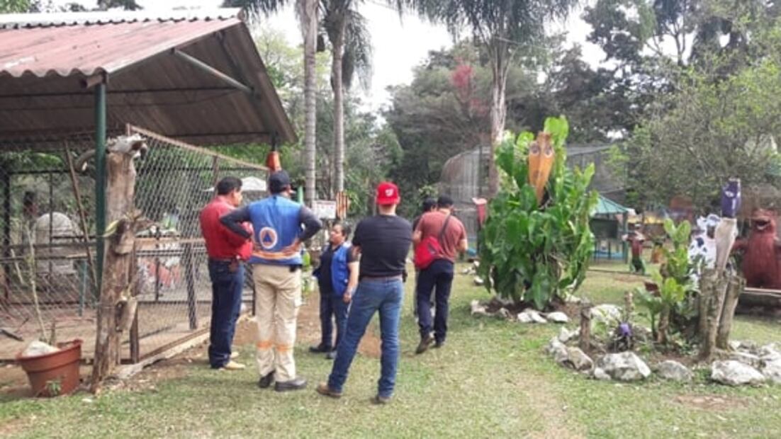 Tigre ataca a joven que intentaba tomarse una selfie en Veracruz 