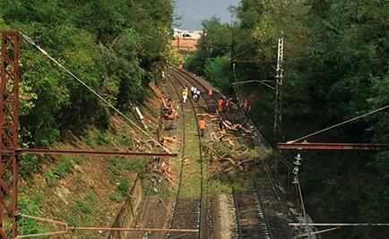 Tren choca contra árbol en Francia; hay decenas de heridos 