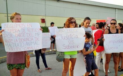Acusan de robo a activistas que rescataron a caballo