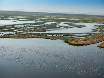 Proteger los humedales en México: Una deuda ambiental que ya es política
