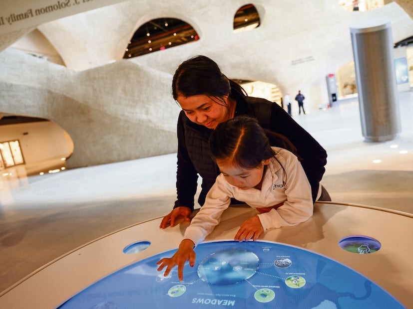 Foto: Richard Gilder Center