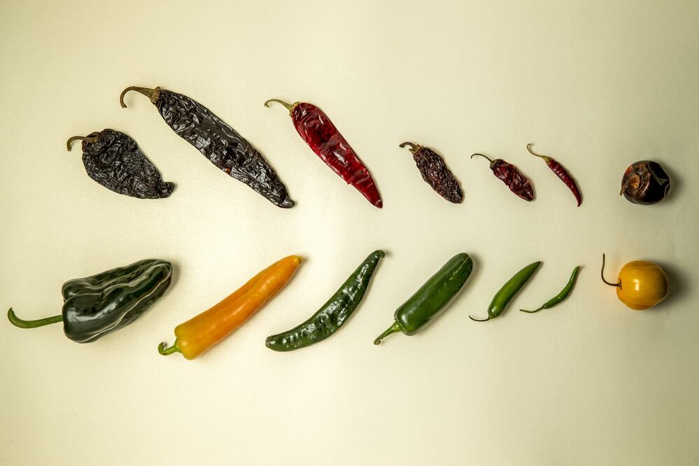 Chiles frescos y secos. Foto: Edgar Silva/EL UNIVERSAL