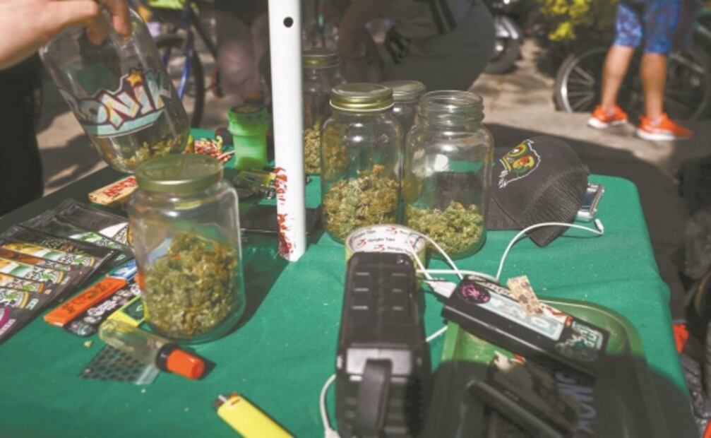 Apuestan por liberar a procesados por cannabis