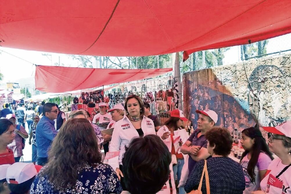 Araceli García Rico, candidata a diputada federal por el PRI en la Gustavo A. Madero, visitó la colonia CTM Atzacoalco. Foto: ESPECIAL